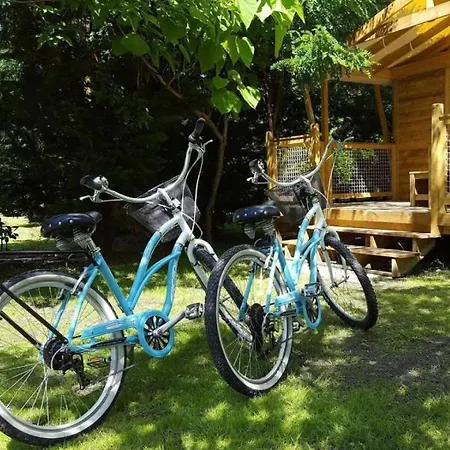 Mobilhome 4 Etoiles - Piscine - Eehdaf Camping *